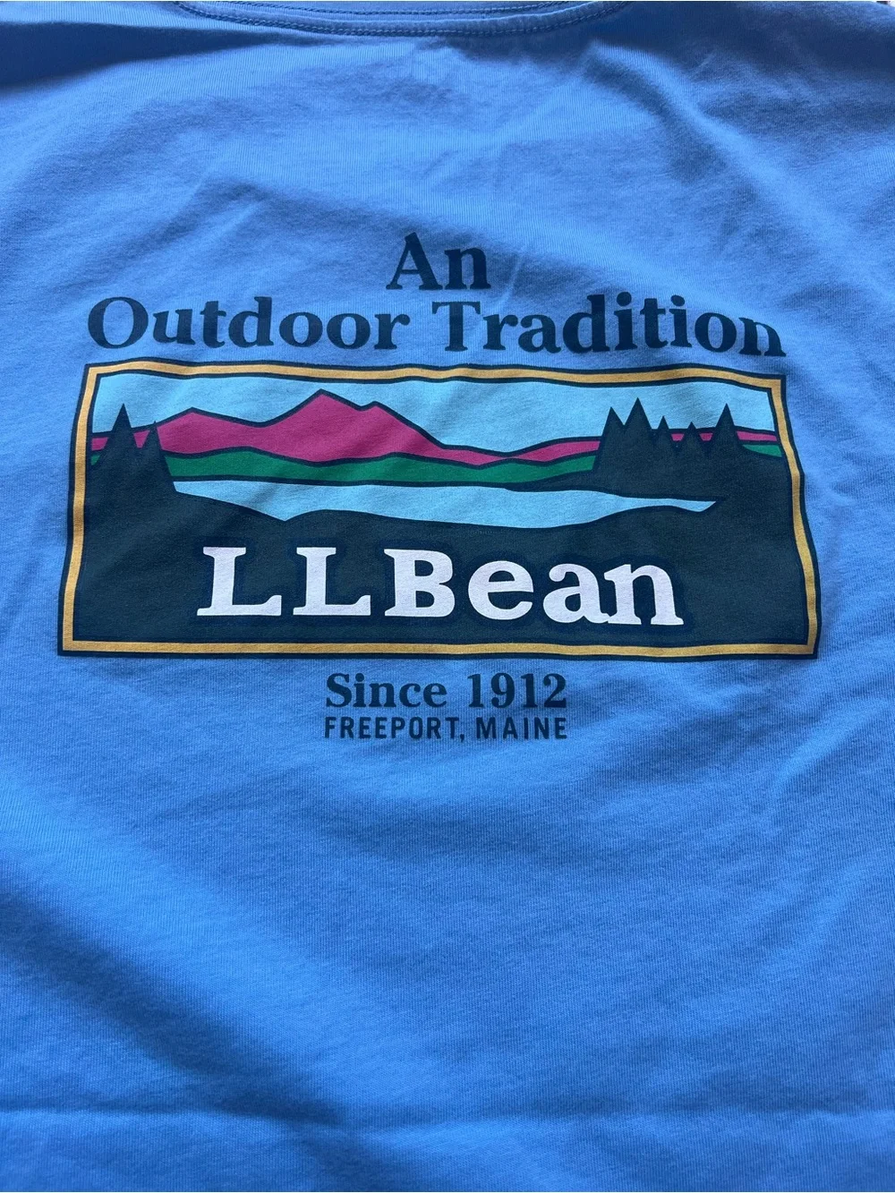LL Bean Mens XXL Blue Graphic T-Shirt Cotton Outdoor Tradition Logo